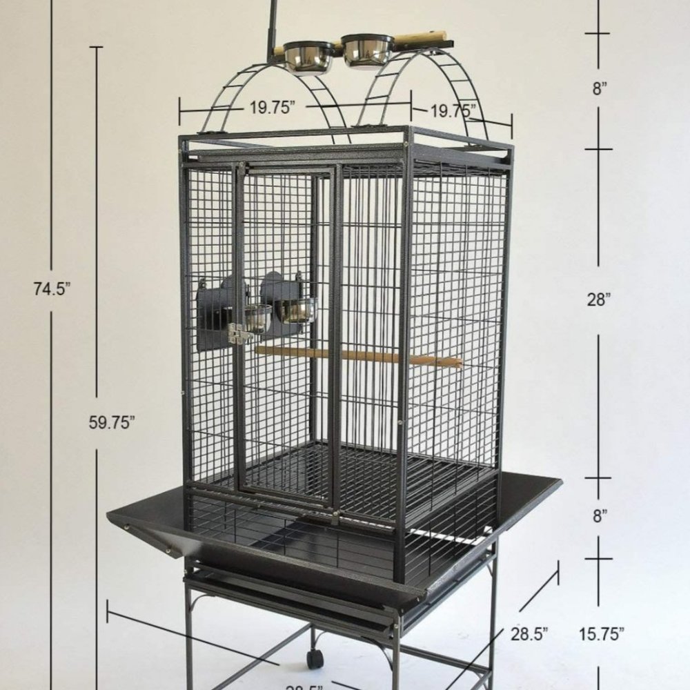 Bird cage for sale